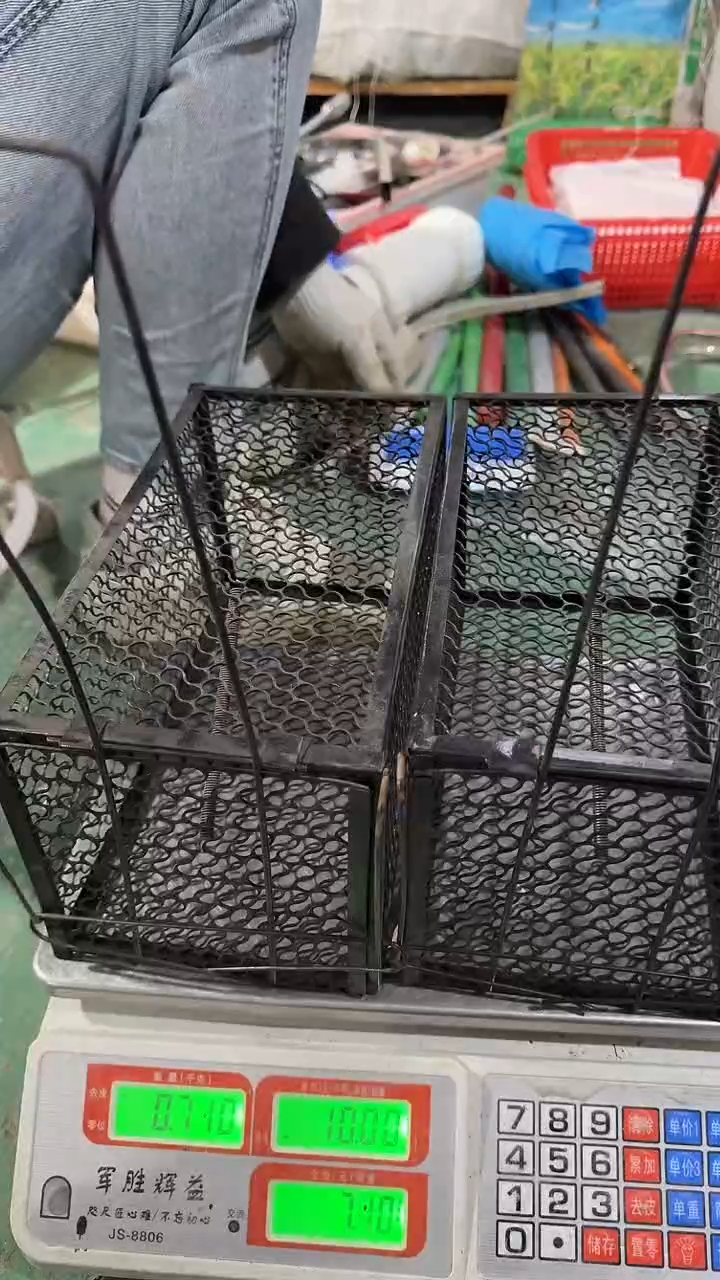 看清下单不退不换110