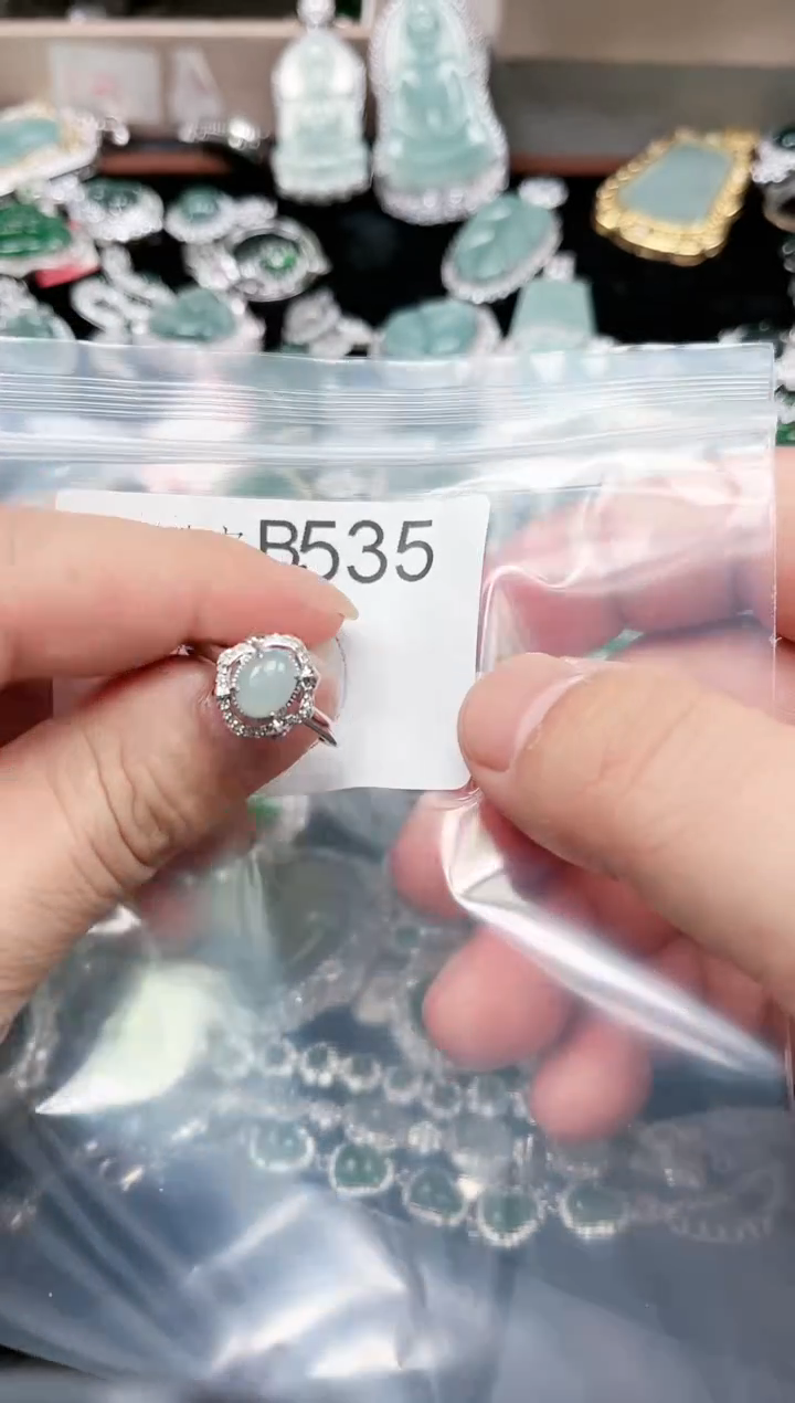 【闪购商品】翡翠颈饰未镶嵌535赠皮绳