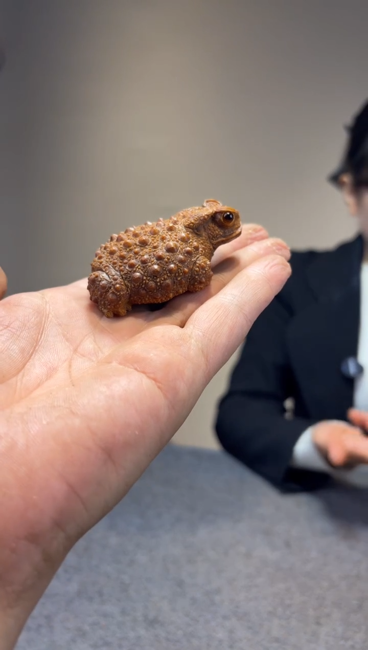 贡木八****室贡木贡木贡木