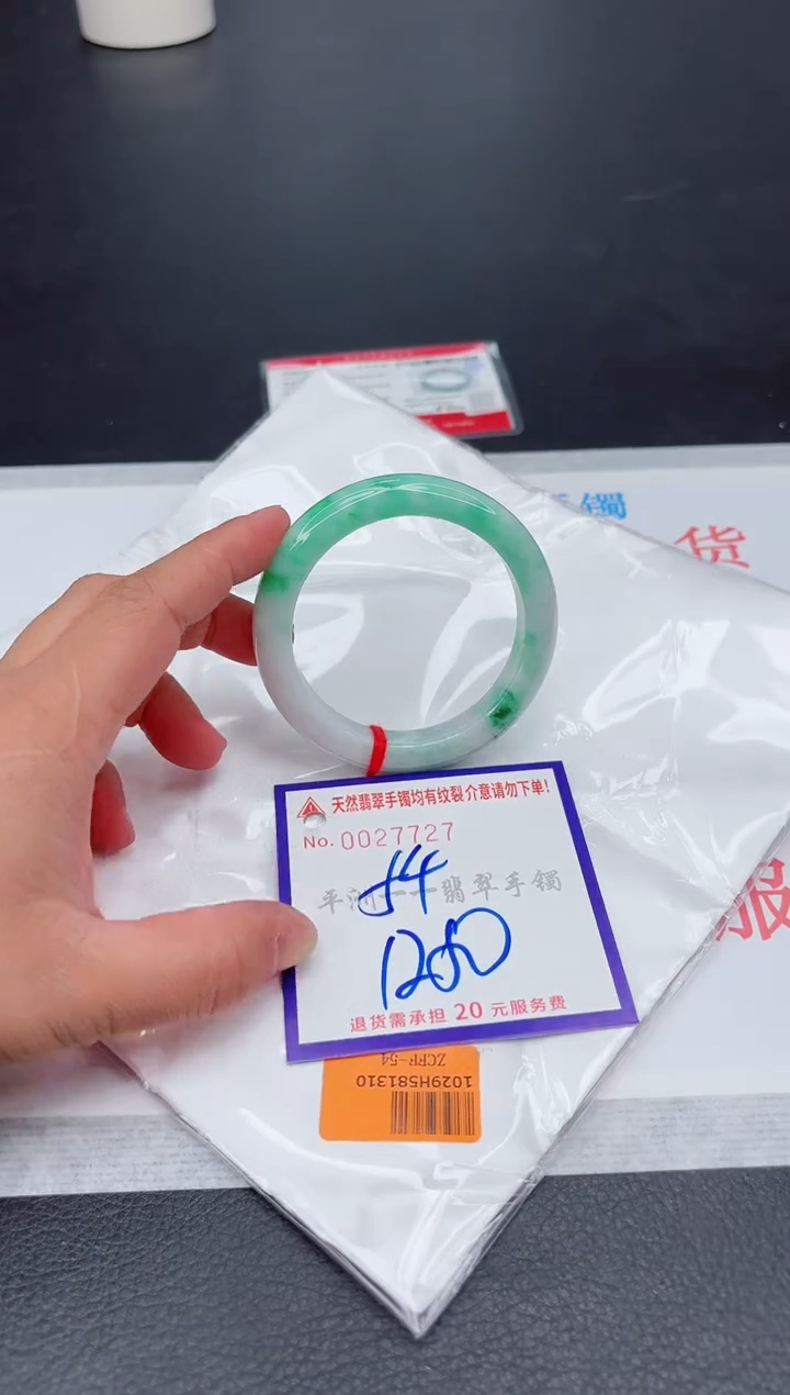 未镶嵌手镯翡翠1