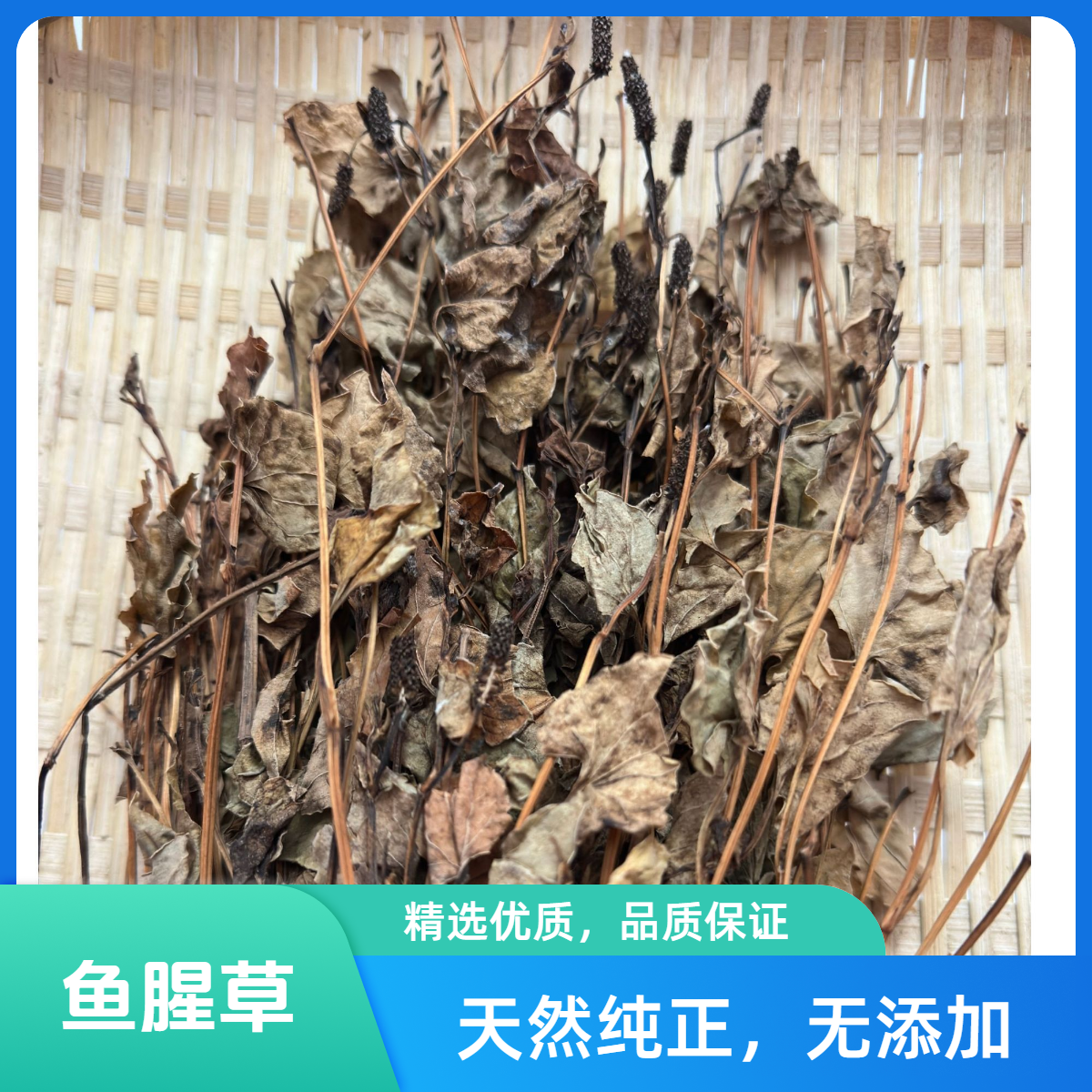 鱼腥草250克自晒太山货折耳根泡茶农家