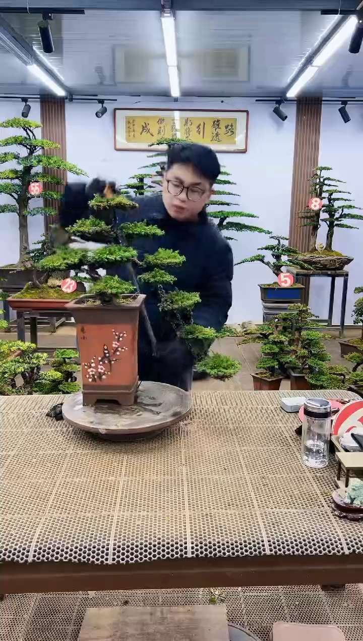 【闪购商品】一物一拍，所见即所得