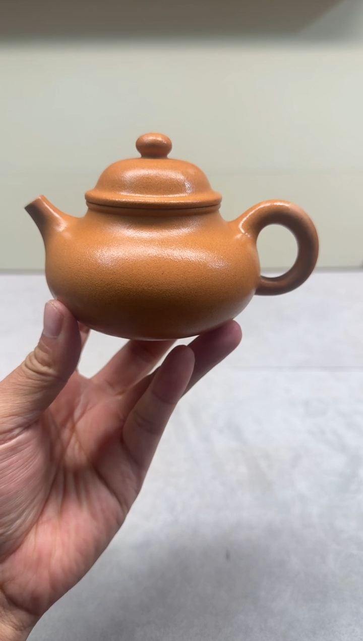 茶壶紫砂220CC老宕口无添加半手容天