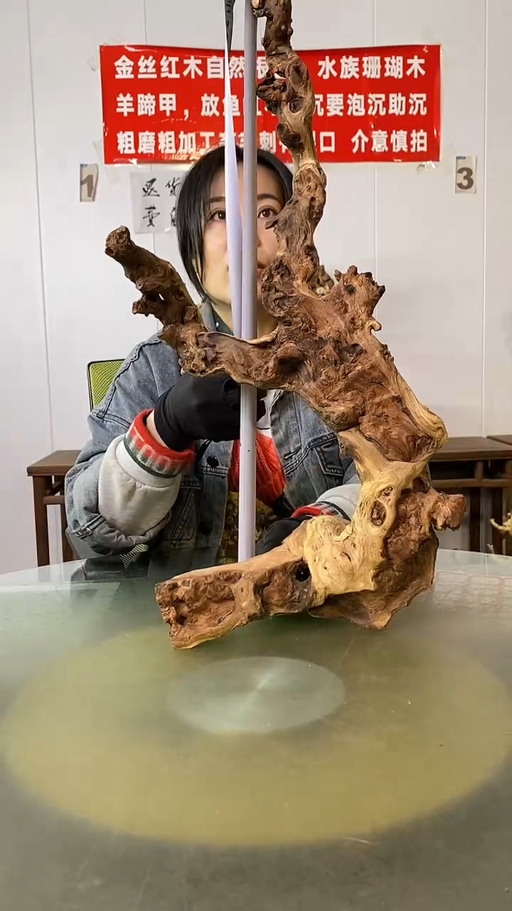 木**金丝红木  羊蹄甲