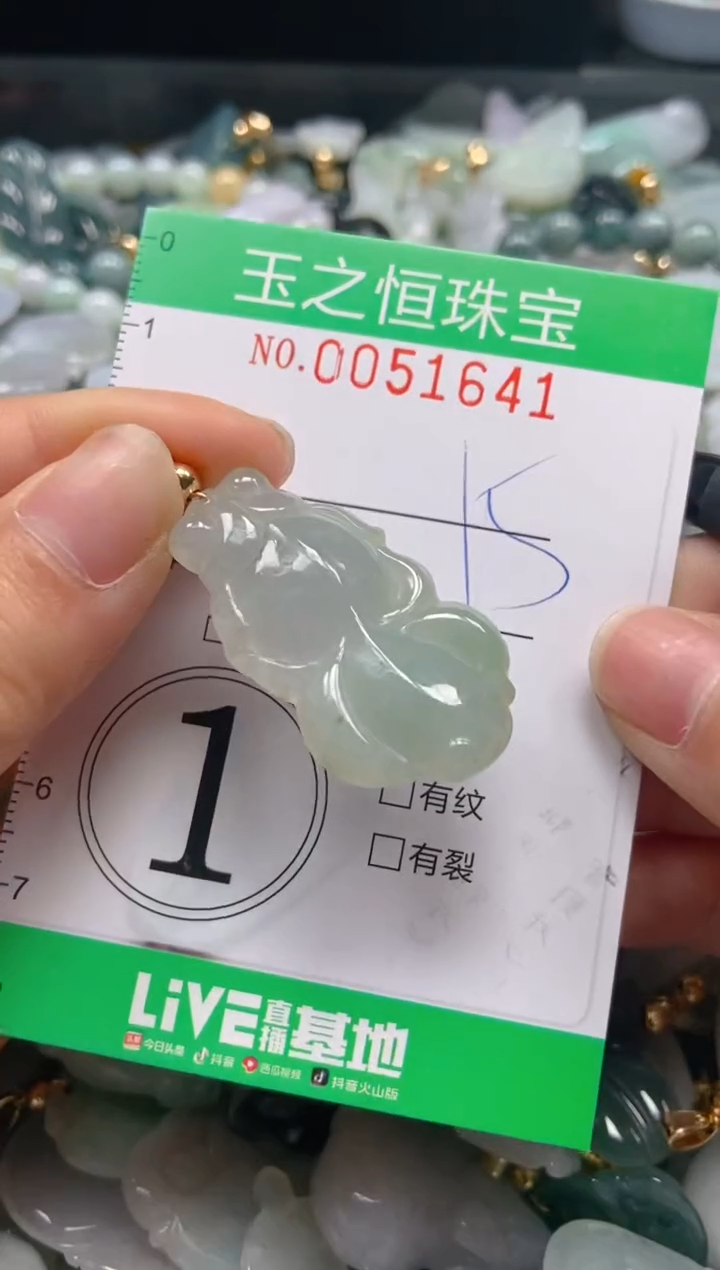 【闪购商品】翡翠颈饰未镶嵌闪购0051641