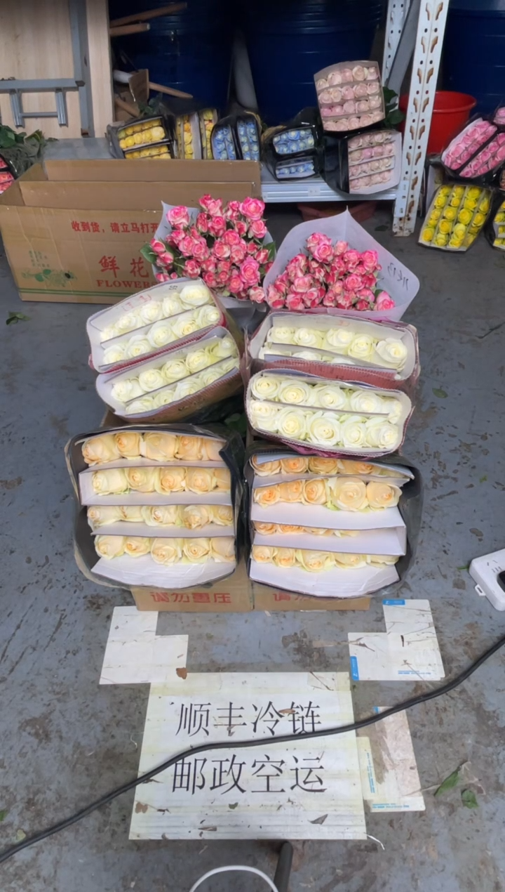 香槟20枝+骄傲20枝+折射10枝 