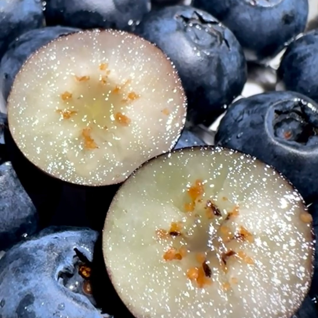 【来此购专属】丹东蓝莓17mm,斤（个别有坏豆，介意勿拍）云南省