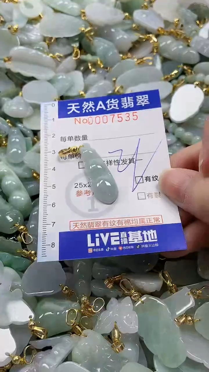 颈饰未镶嵌翡翠纯天然a货翡翠