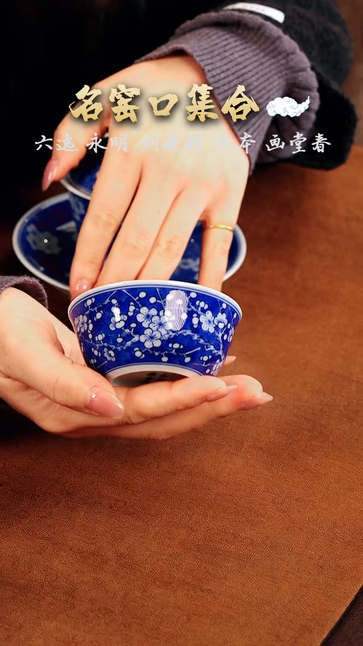 【闪购商品】瓷片·········