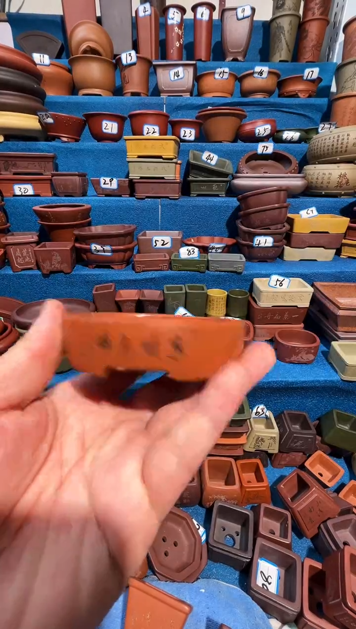 【闪购商品】紫砂紫砂花盆8*6.5*1.5