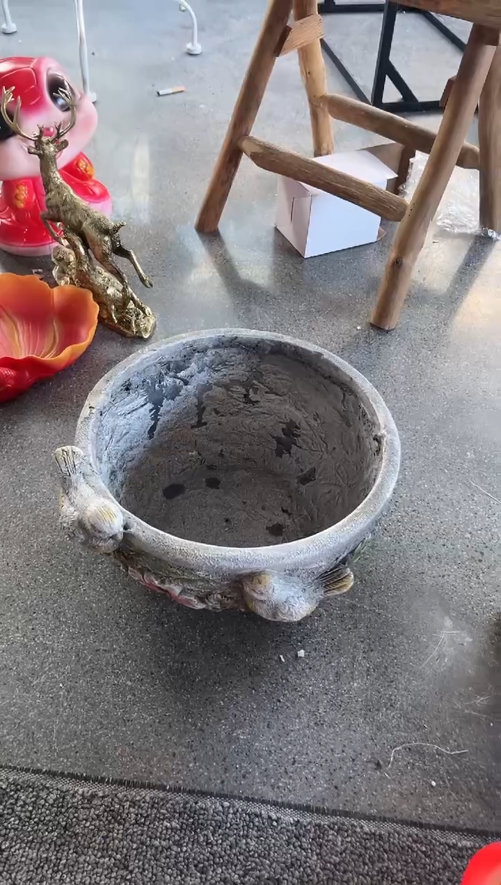 喜上眉梢花盆一件包邮
