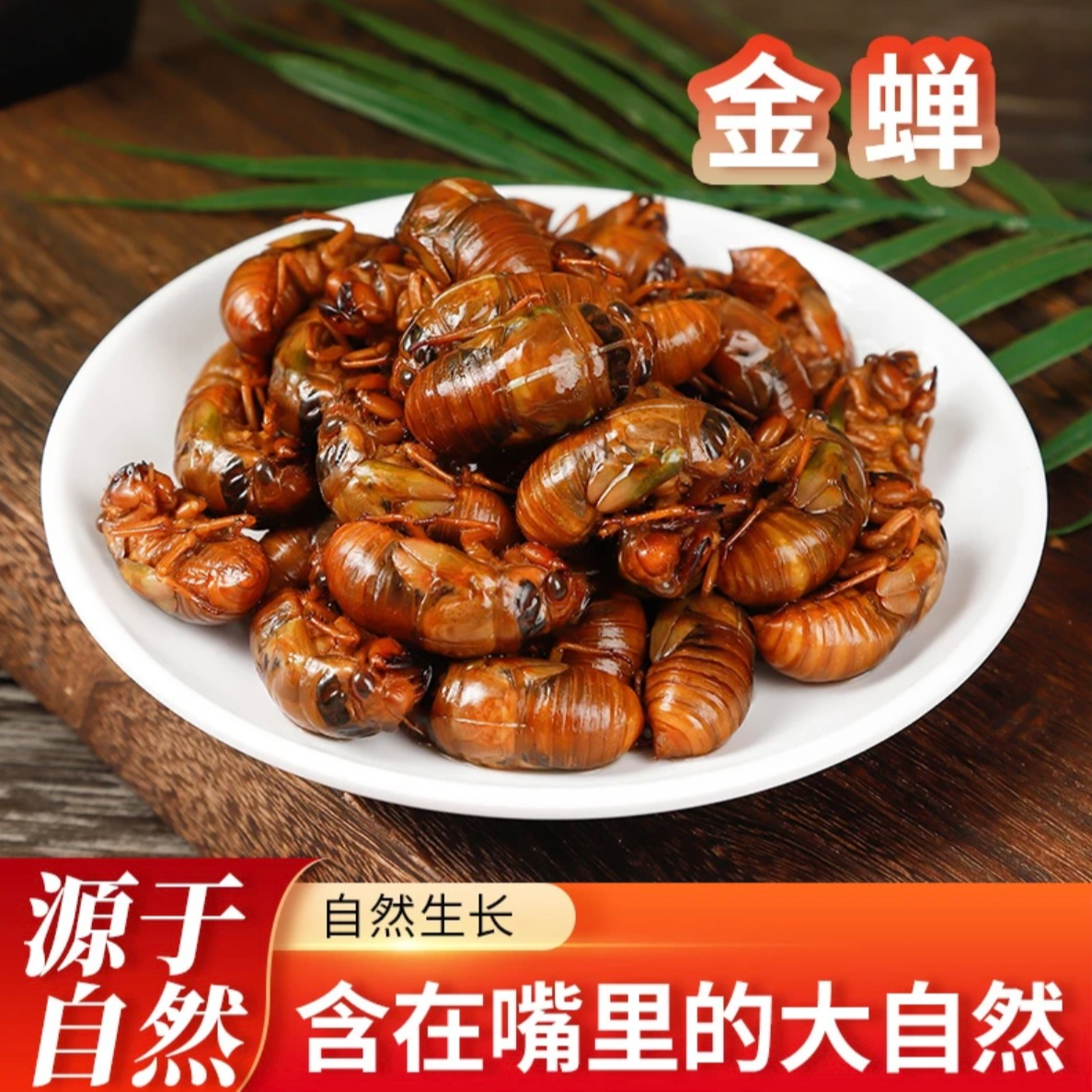 特产 野生金蝉 新鲜速冻知了猴 可烧烤油炸 yj