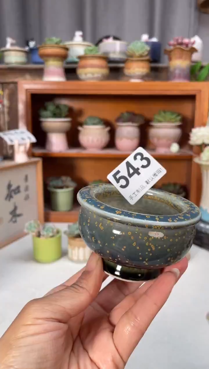 瓷片543小芳直播编号