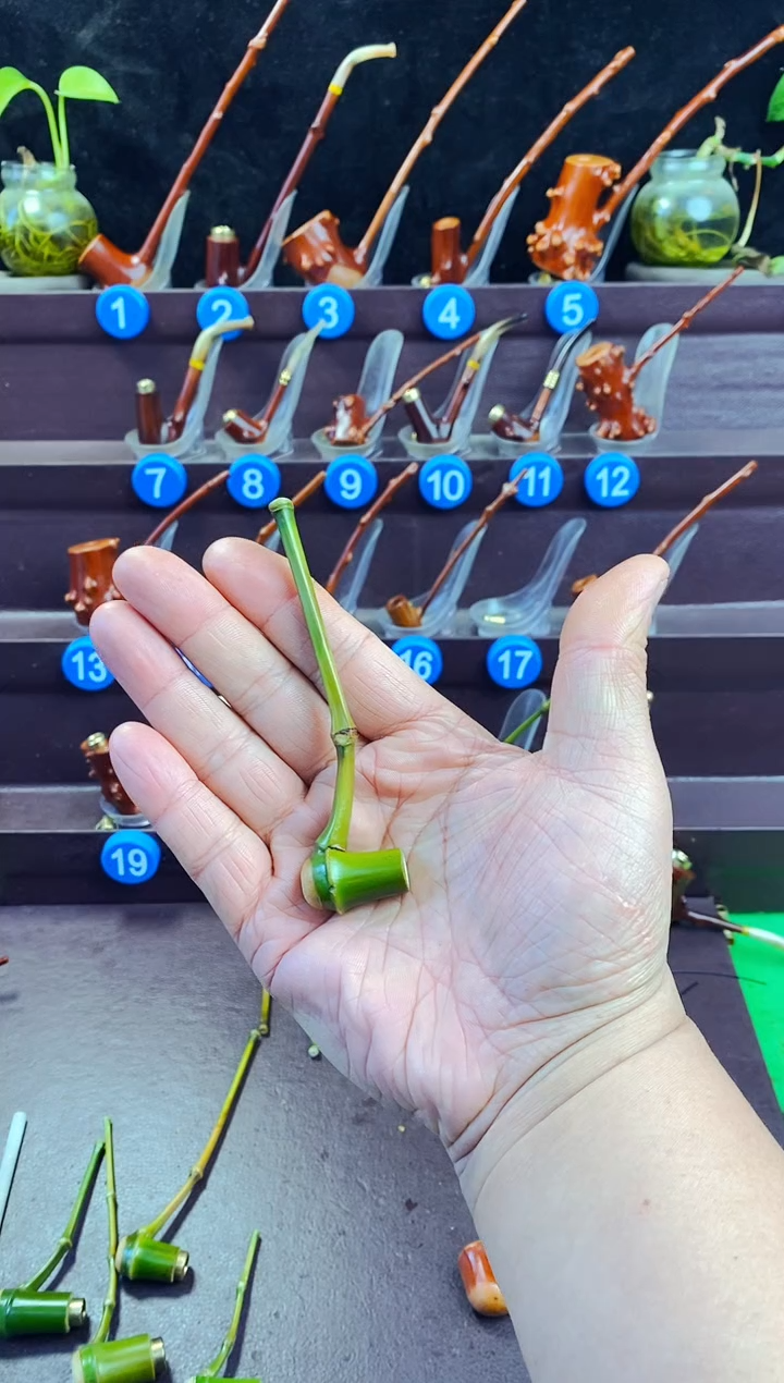 木小*檬子木的精品小斗