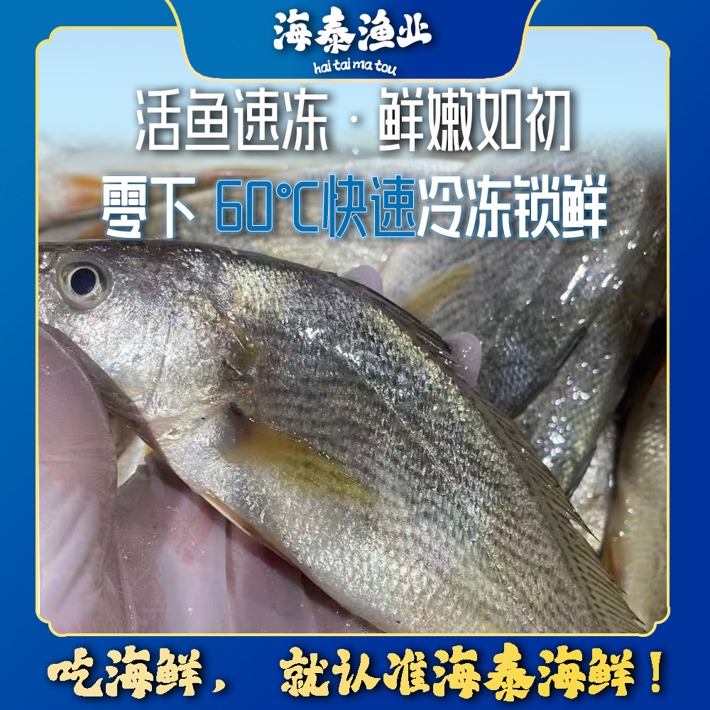 【细细粒专属】【椿子鱼】海泰码头 深海捕捞 鲜活速冻 锁鲜冷链到家