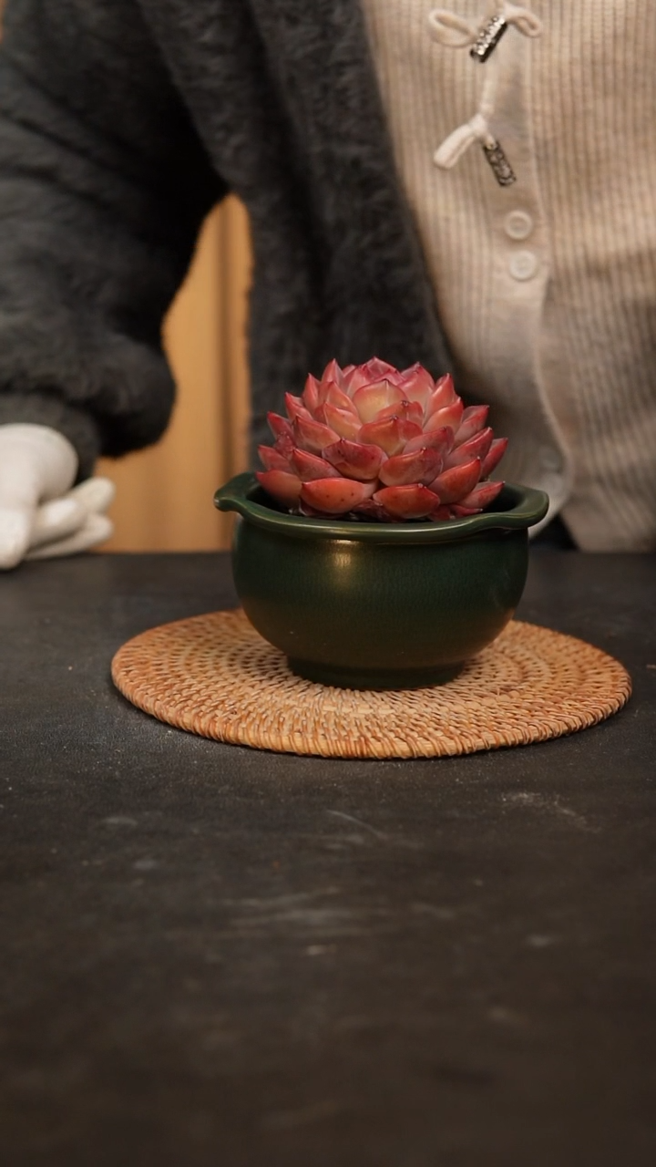 【闪购商品】瓷片景德镇泥泥陶瓷多肉花盆