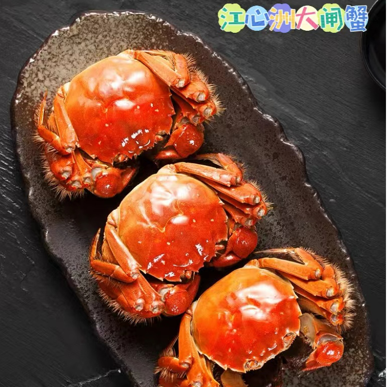 【活蟹】精品大闸蟹 全母蟹4.8两到5.1两/只（6-10只装）（口感鲜甜）