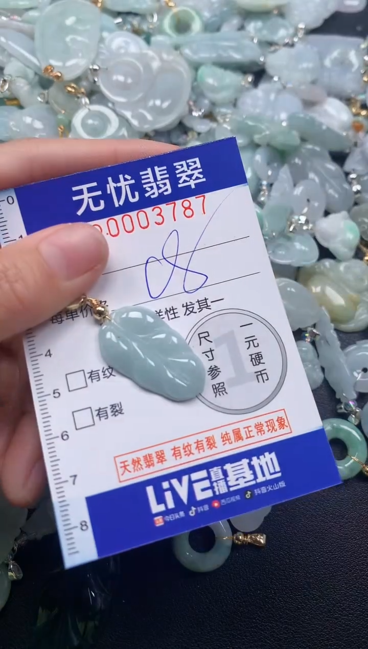 颈饰未镶嵌翡翠3787