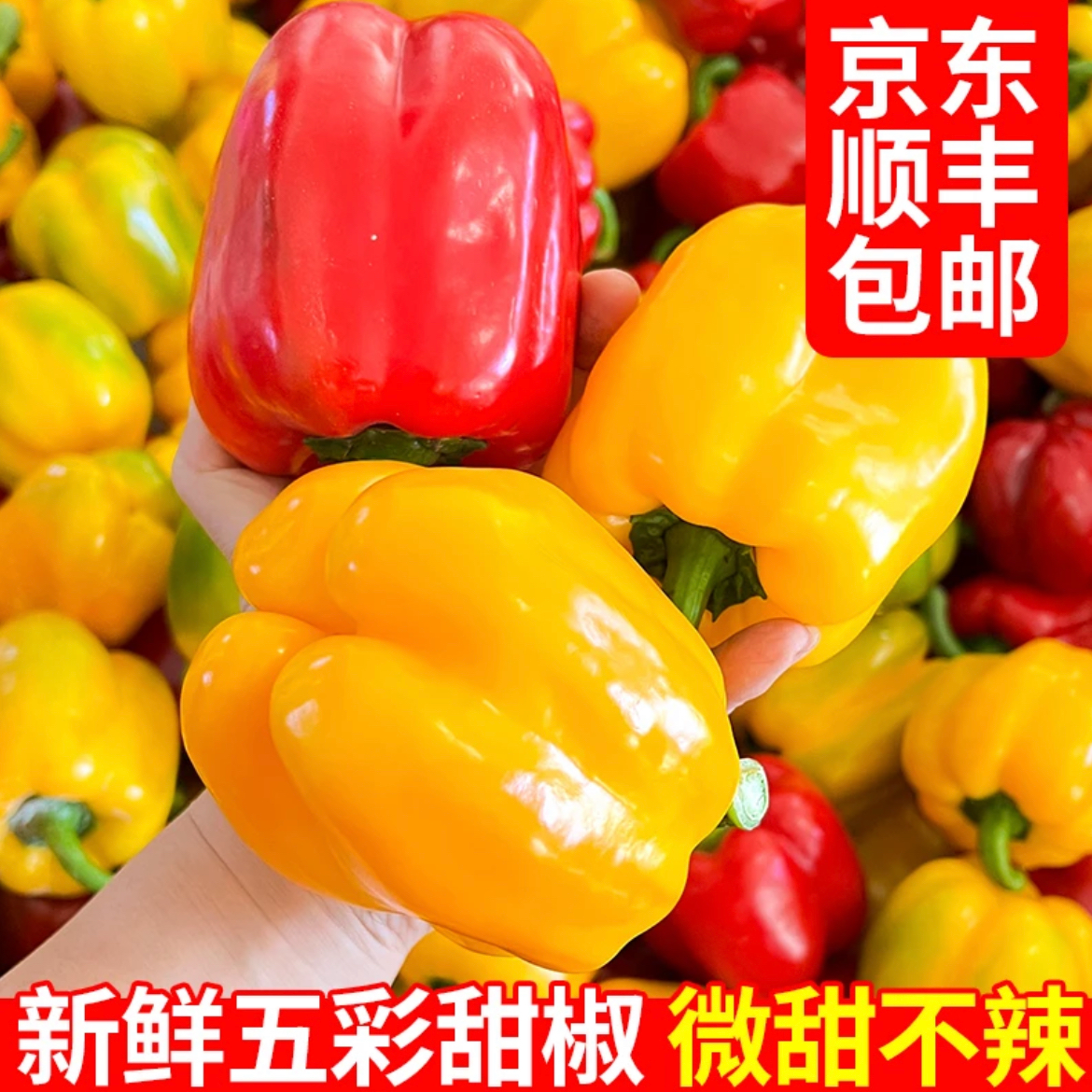 新鲜彩椒1-5斤圆辣椒当季现摘彩红黄灯笼椒水果甜椒蔬菜农产品