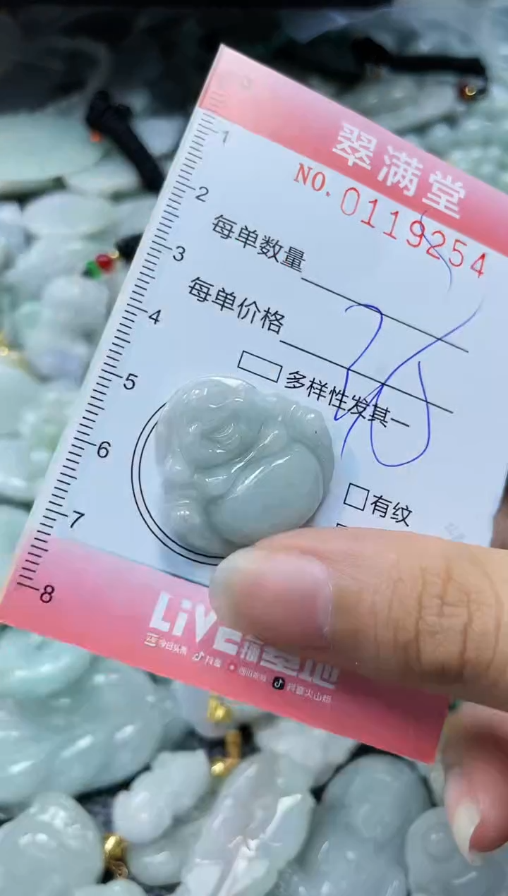 【闪购商品】翡翠未镶嵌颈饰闪购0119254