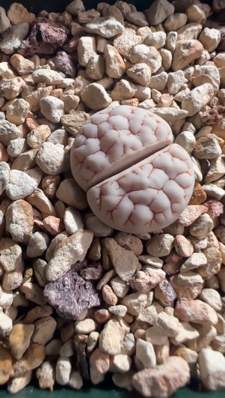 314.。。。。。。。。。。.。。