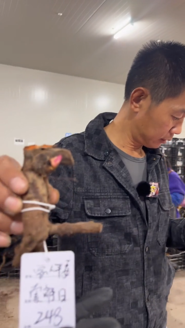 家**安248 索朗哥  家人平安