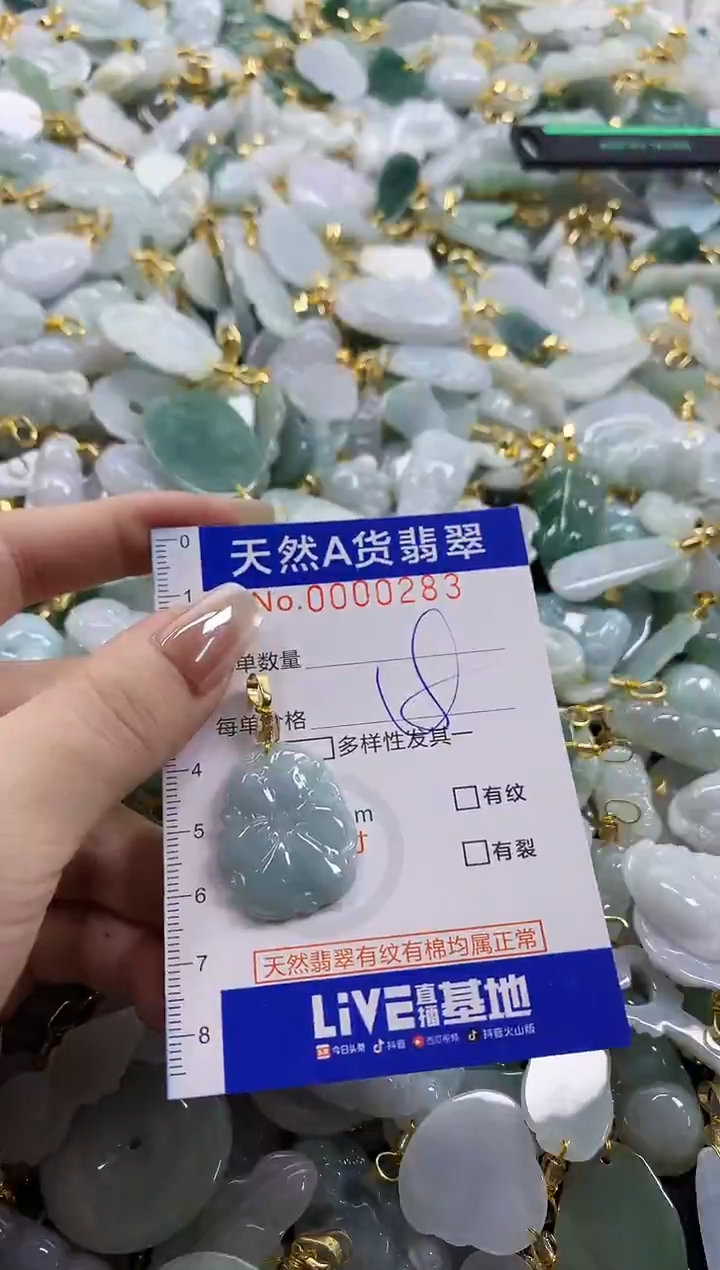 颈饰未镶嵌翡翠天然A货翡翠