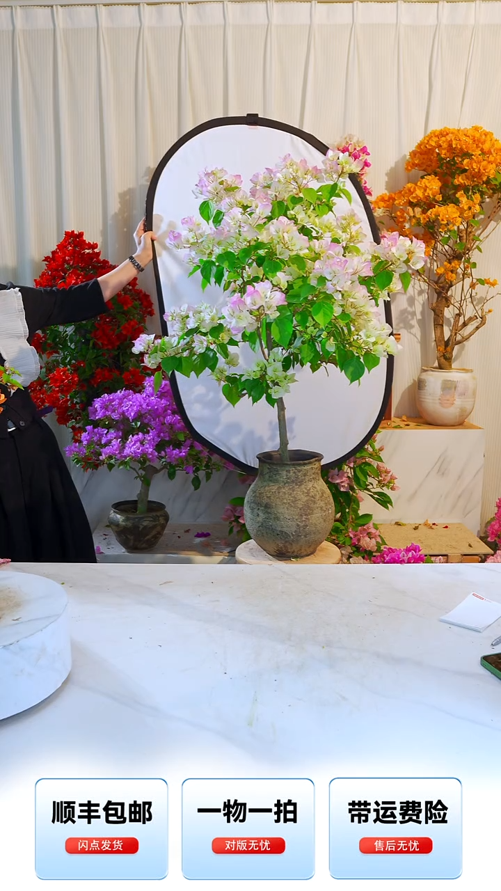 大部分开放少量花苞绿樱