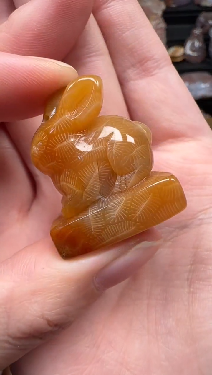 颈饰未镶嵌硅化珊瑚（珊瑚玉）113