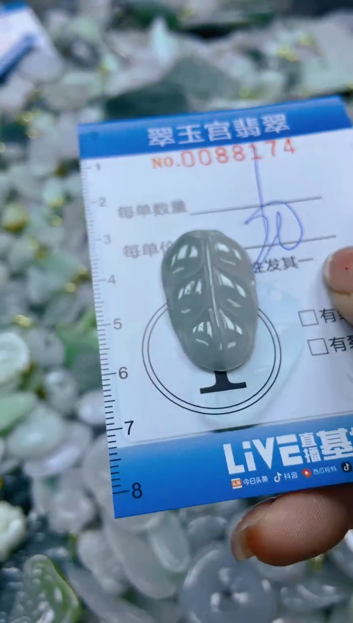 【闪购商品】翡翠颈饰未镶嵌闪购0088174