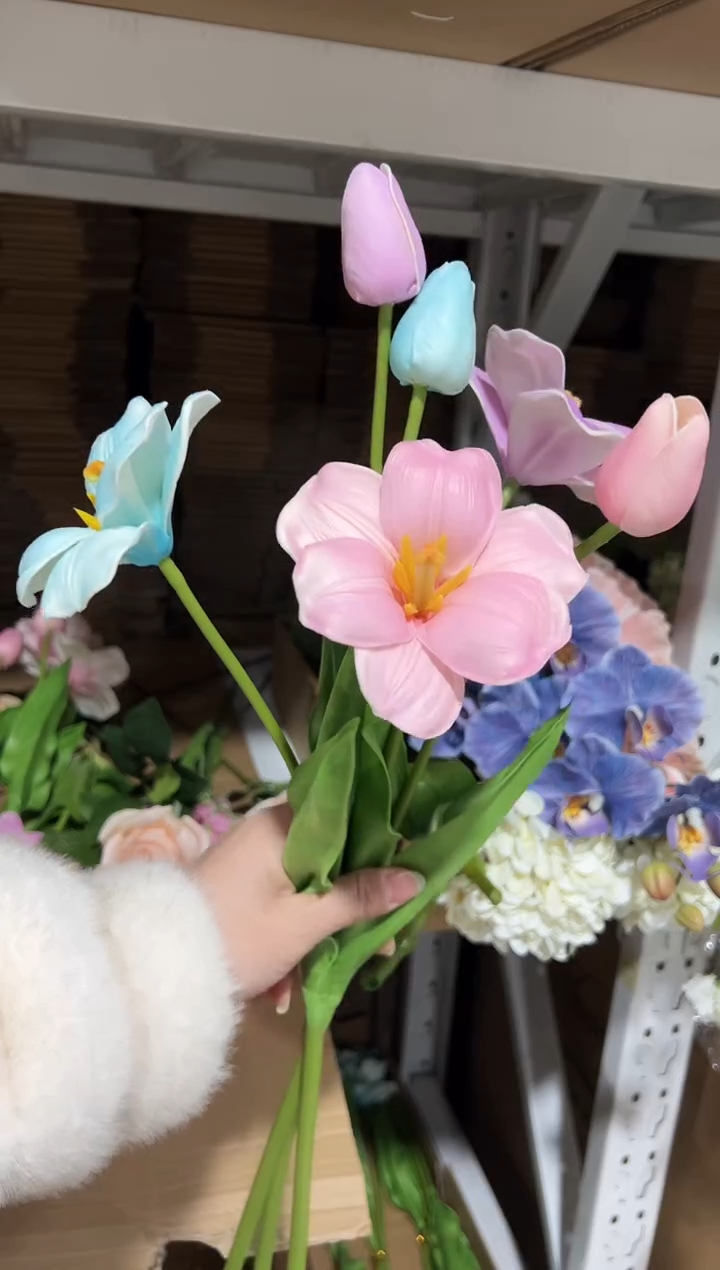 3枝混色2头布朗尼