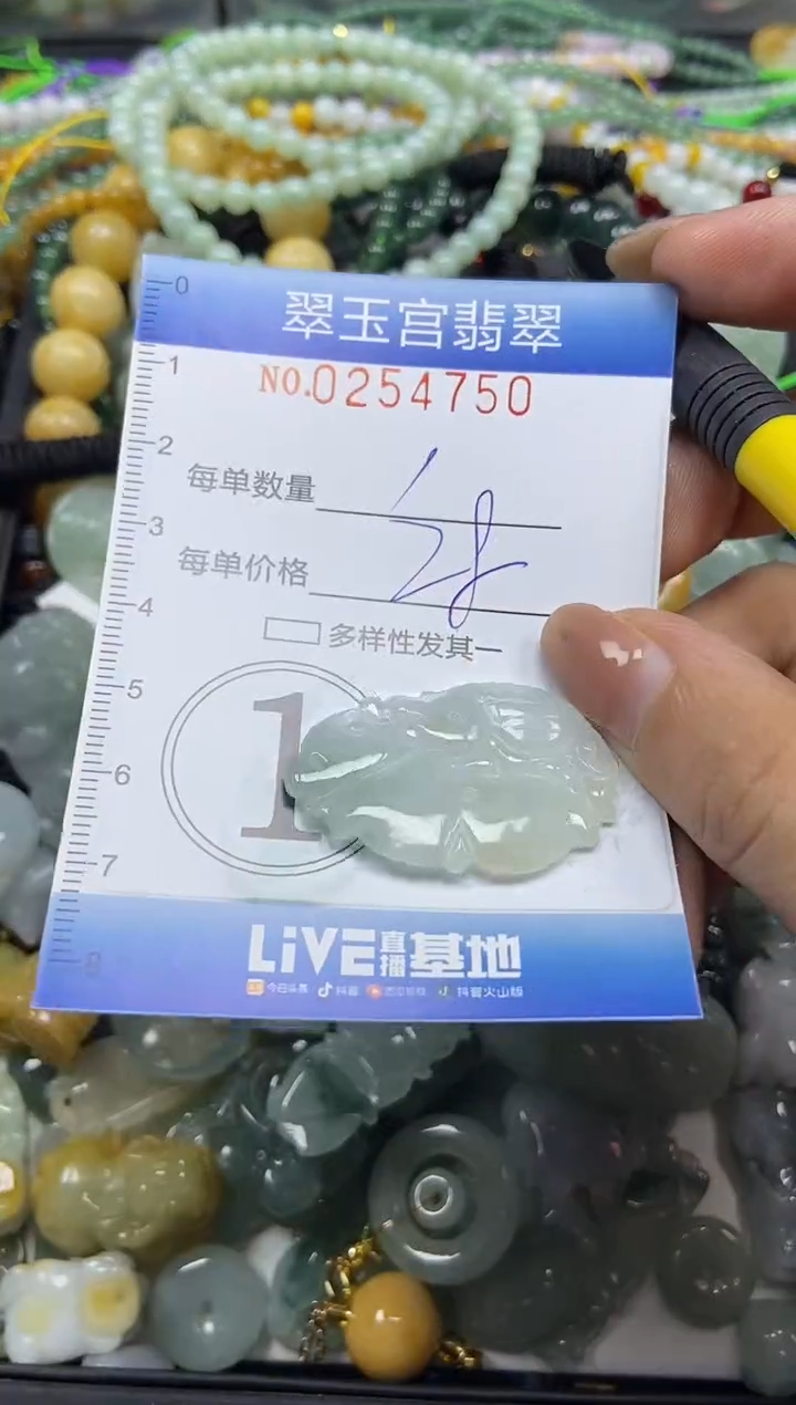 颈饰未镶嵌翡翠闪购C0254750