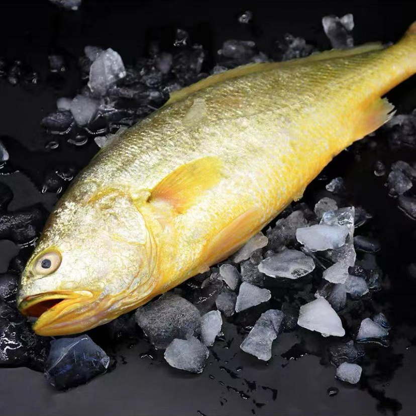 生态野化深海黄花鱼（600-700g/条）共4条5斤 鲜鱼速冻发顺丰