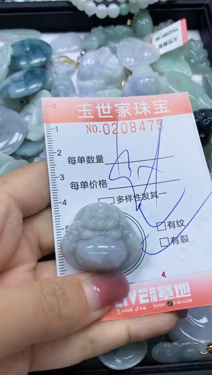 【闪购商品】翡翠颈饰未镶嵌闪购0208475