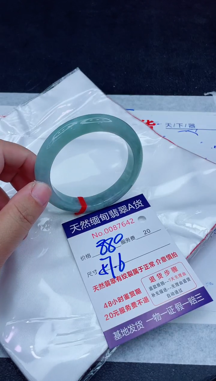 未镶嵌手镯翡翠880.0000