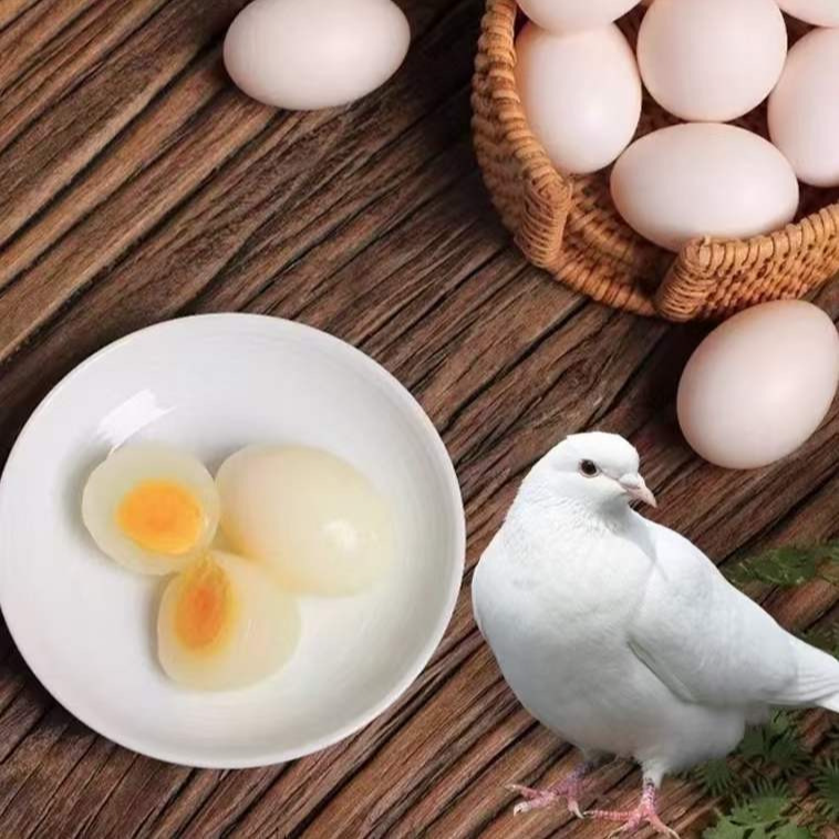 鸽子蛋 30枚 农家直供 无激素无抗生素 营养更安心