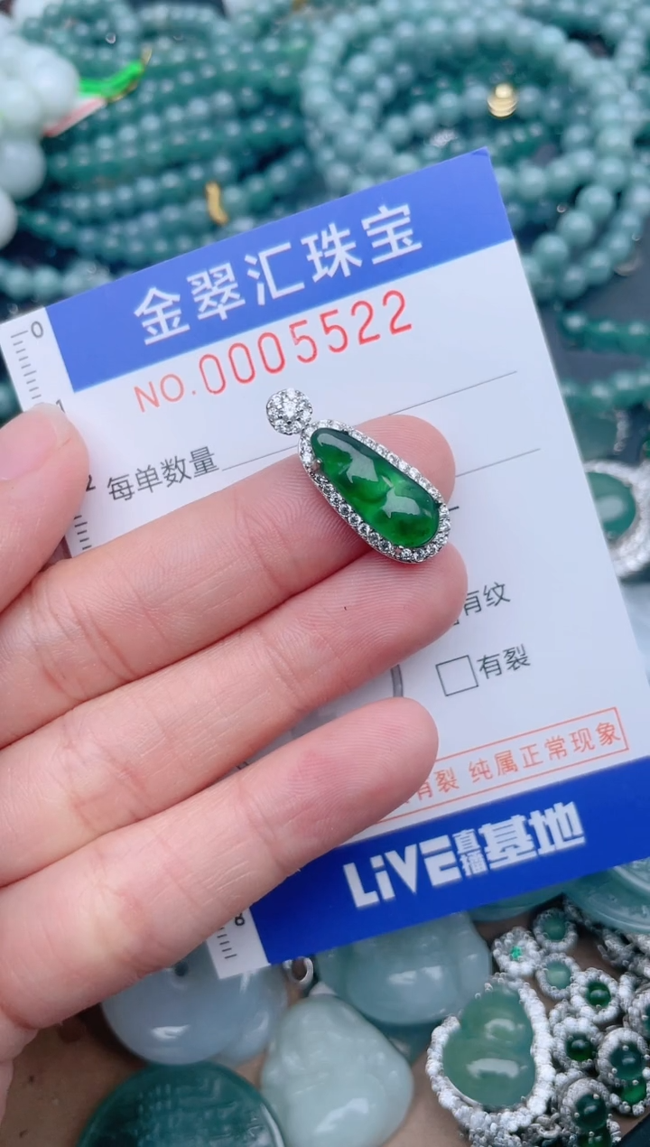 翡翠未镶嵌颈饰5522.........1