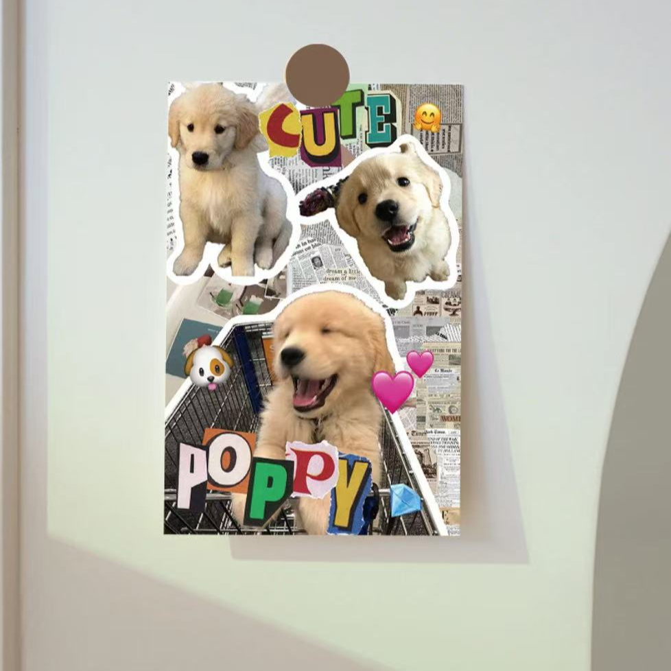 狗狗明信片室内贴墙