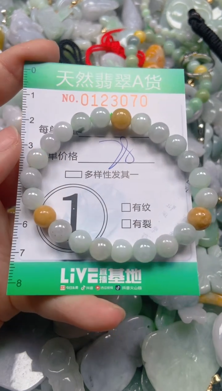 翡翠未镶嵌颈饰闪购0123070