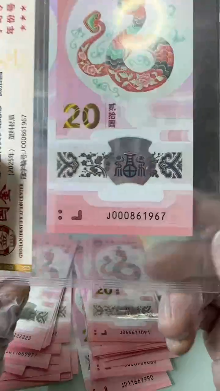 【闪购商品】塑料000861967-蛇钞单张！