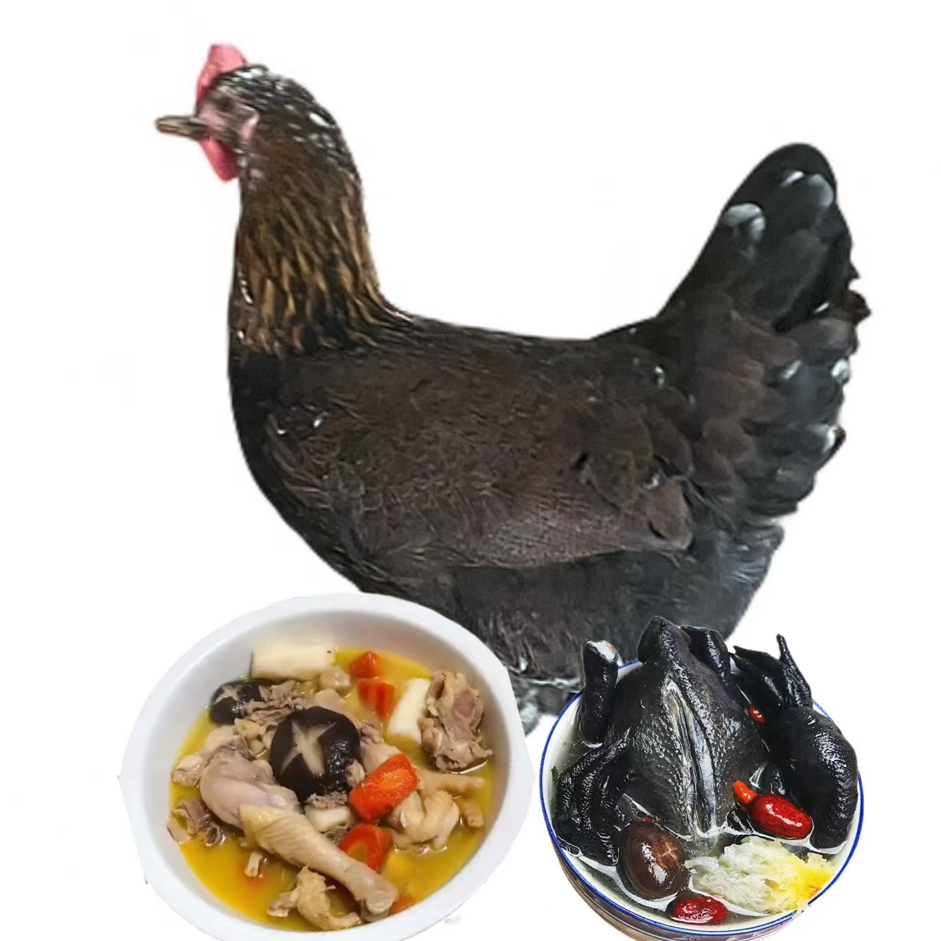 云南散养爆花鸡4-5斤肉质鲜美炖汤可口