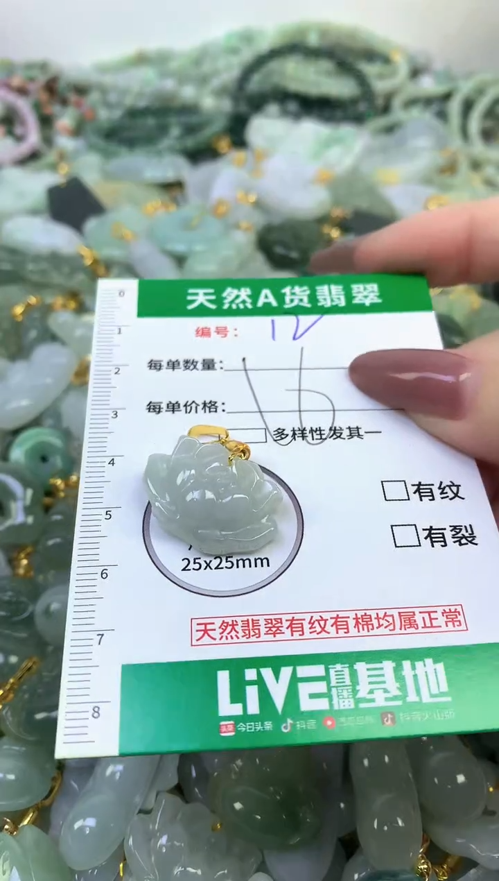 颈饰未镶嵌翡翠纯天然缅甸A货翡翠