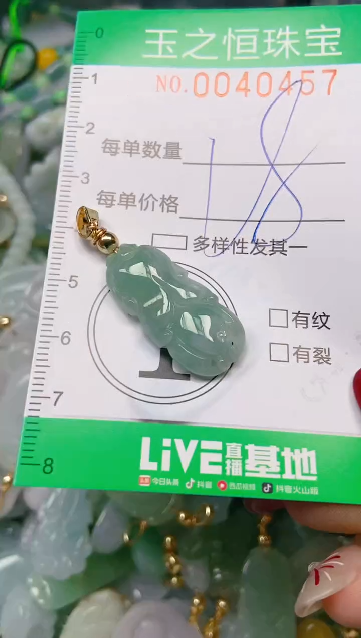 【闪购商品】翡翠颈饰未镶嵌闪购0040457