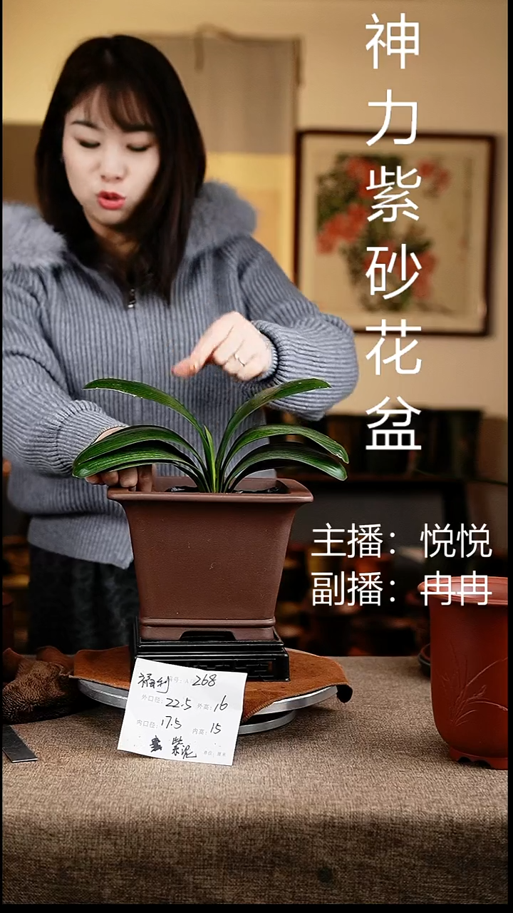 紫砂花盆花卉工艺268+s
