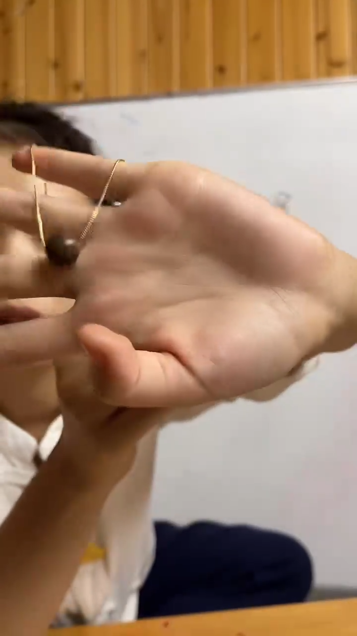 香香 鳄梨香 吊坠