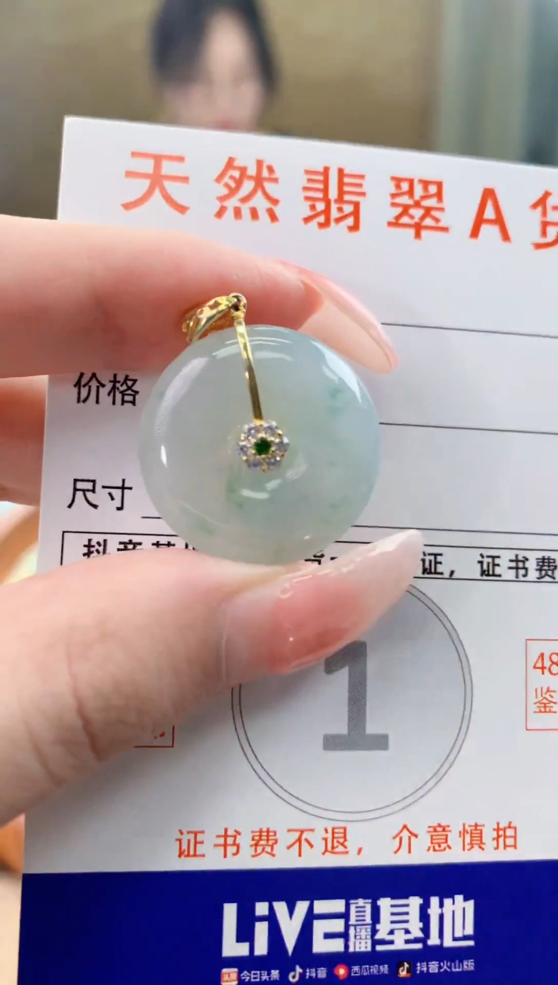 颈饰未镶嵌翡翠天然A货翡翠挂件