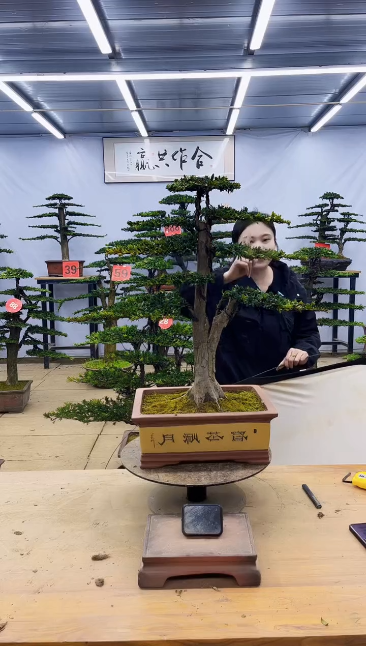 一物一拍，所见即所得