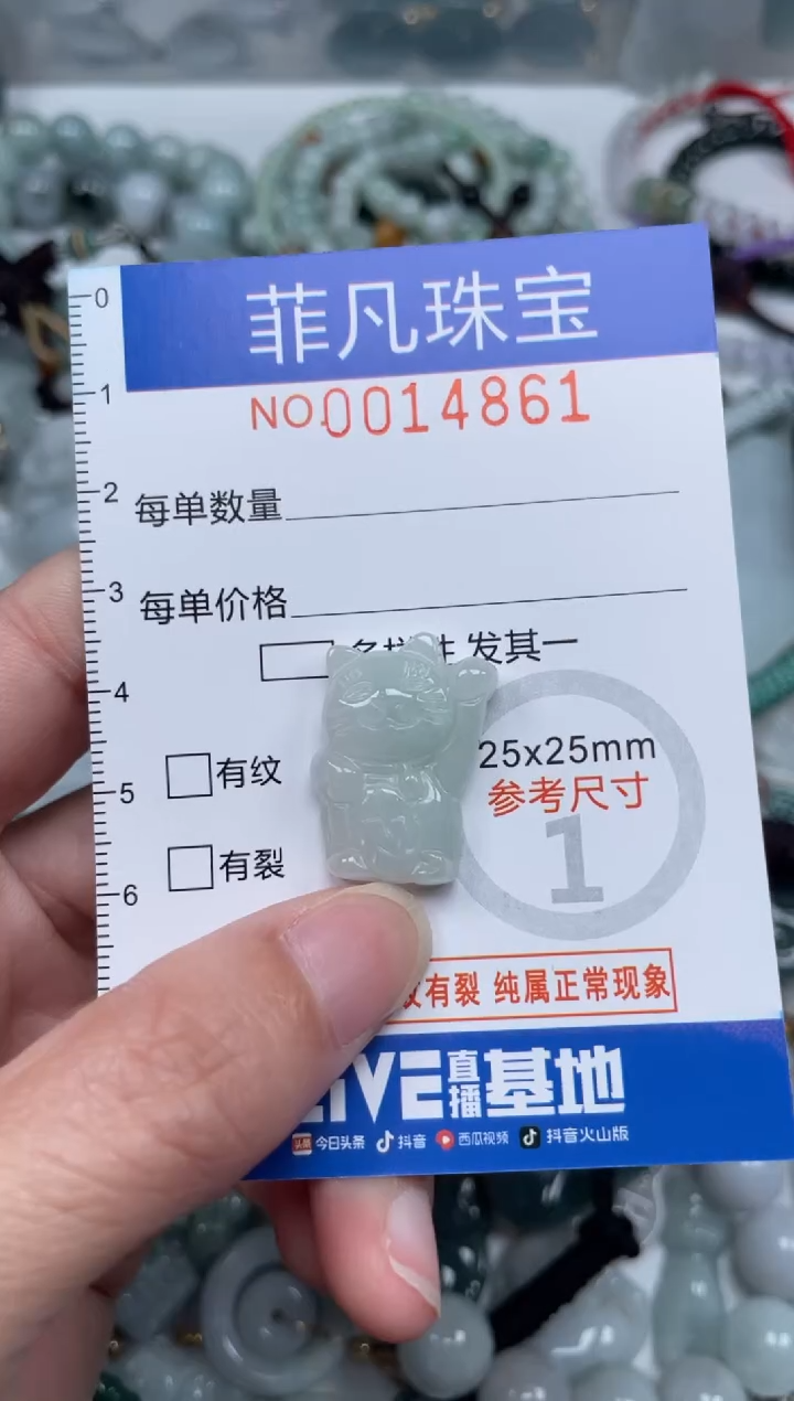 颈饰未镶嵌翡翠14861