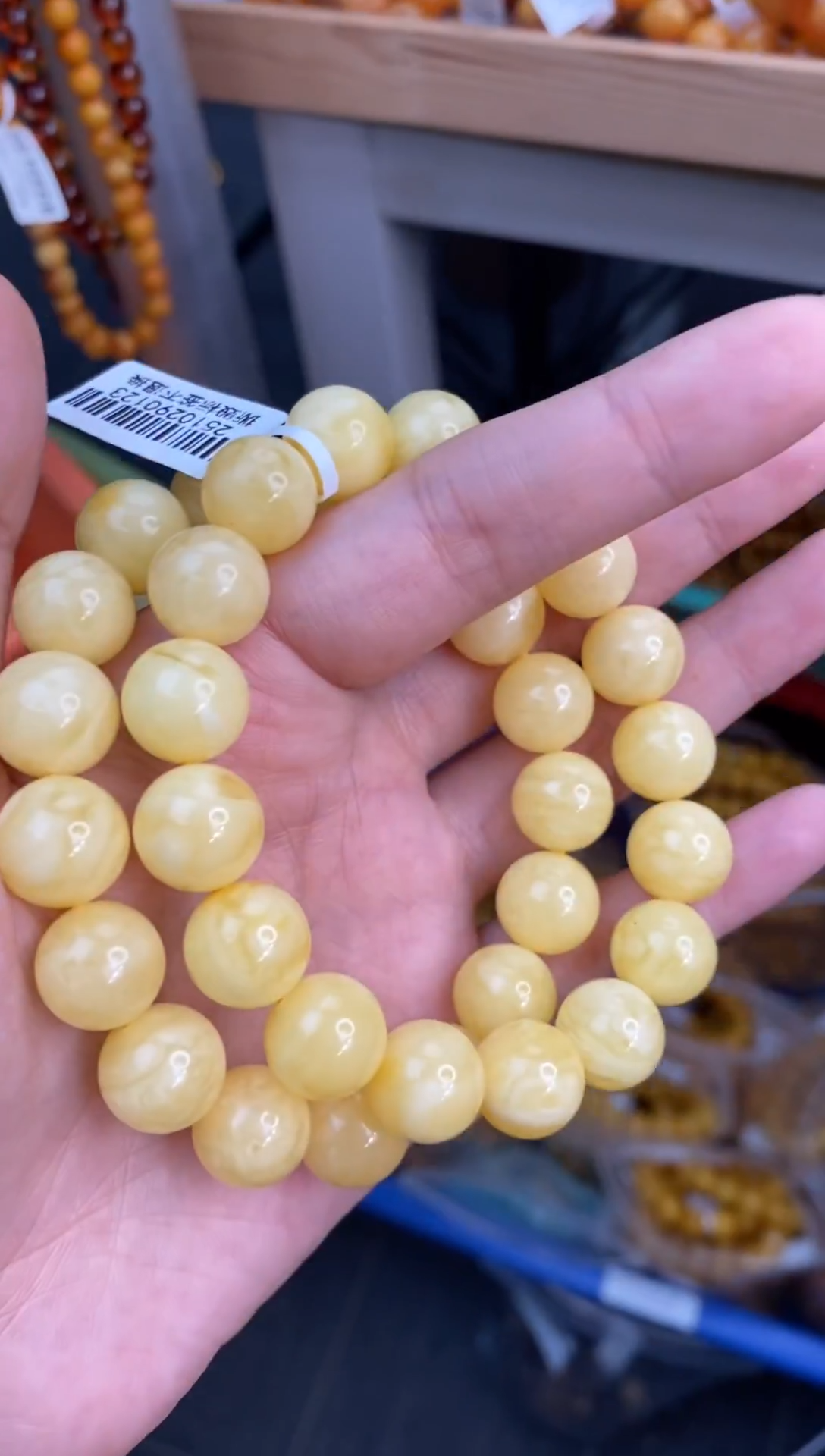 裸石琥珀未镶嵌12/7多样性发其一168