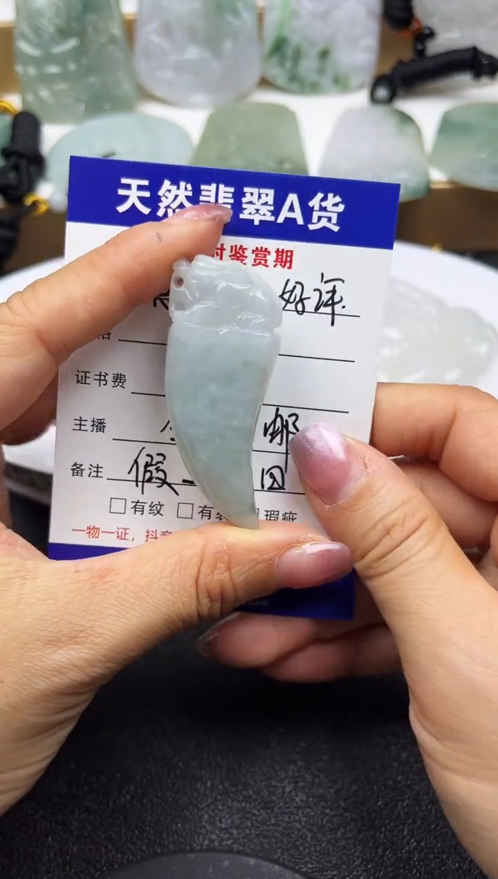 颈饰未镶嵌翡翠              